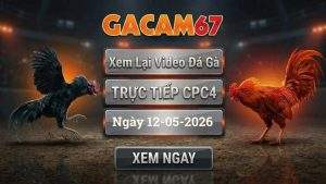 Xem Lại Video Đá Gà CPC4 Ngày 12/05/2026